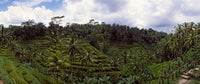 http://c328301.r1.cf1.rackcdn.com/PPI139706S.jpg