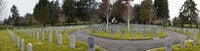 http://c328301.r1.cf1.rackcdn.com/PPI141693L.jpg