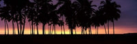 http://c328301.r1.cf1.rackcdn.com/PPI141712L.jpg