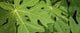 http://c328301.r1.cf1.rackcdn.com/PPI144094S.jpg