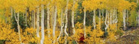 http://c328301.r1.cf1.rackcdn.com/PPI144103S.jpg