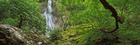 http://c328301.r1.cf1.rackcdn.com/PPI146825S.jpg
