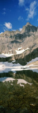 http://c328301.r1.cf1.rackcdn.com/PPI147065S.jpg