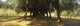 http://c328301.r1.cf1.rackcdn.com/PPI148425S.jpg