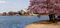 http://c328301.r1.cf1.rackcdn.com/PPI149189S.jpg