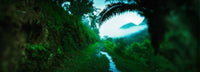 http://c328301.r1.cf1.rackcdn.com/PPI149399S.jpg