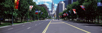 Country Flags on Trees Along Martin Luther King Drive Poster Print
