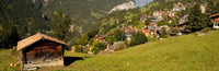 http://c328301.r1.cf1.rackcdn.com/PPI151529S.jpg
