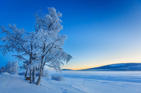 http://c328301.r1.cf1.rackcdn.com/PPI154974S.jpg