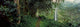 Akaka Falls Poster Print showcasing the lush greenery and waterfall in a forest setting.