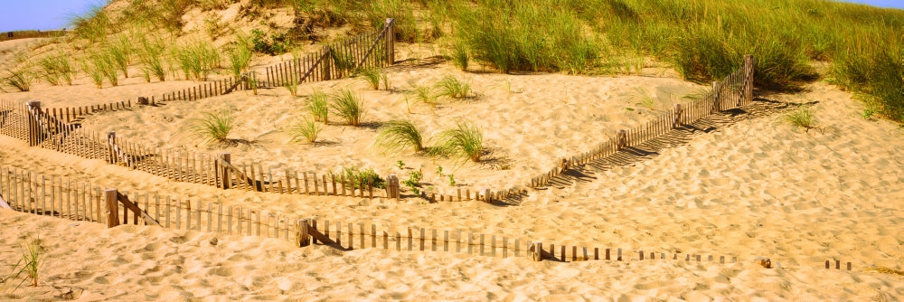 Fence on the beach in Cape Cod, Massachusetts poster print.