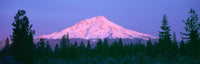 http://c328301.r1.cf1.rackcdn.com/PPI160246L.jpg