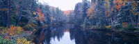 http://c328301.r1.cf1.rackcdn.com/PPI160281S.jpg