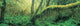 http://c328301.r1.cf1.rackcdn.com/PPI160298S.jpg
