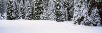 http://c328301.r1.cf1.rackcdn.com/PPI160666S.jpg