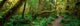 http://c328301.r1.cf1.rackcdn.com/PPI160868S.jpg