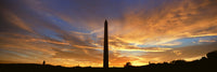http://c328301.r1.cf1.rackcdn.com/PPI160907L.jpg