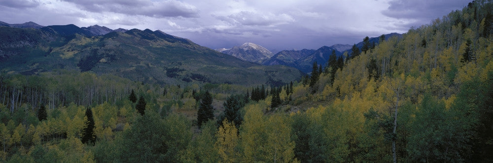 http://c328301.r1.cf1.rackcdn.com/PPI161174S.jpg