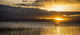 http://c328301.r1.cf1.rackcdn.com/PPI161747S.jpg