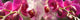 http://c328301.r1.cf1.rackcdn.com/PPI162566S.jpg