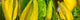 http://c328301.r1.cf1.rackcdn.com/PPI162628S.jpg