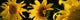 http://c328301.r1.cf1.rackcdn.com/PPI162633S.jpg