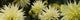 http://c328301.r1.cf1.rackcdn.com/PPI162663S.jpg