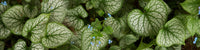 http://c328301.r1.cf1.rackcdn.com/PPI162664S.jpg