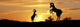 http://c328301.r1.cf1.rackcdn.com/PPI164001S.jpg