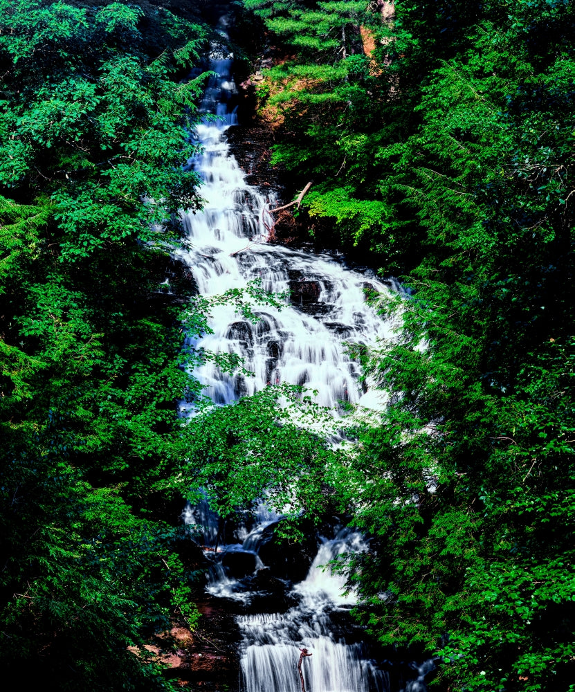 Wolf Creek Falls Poster Print showcasing the beauty of Vogel State Park in Georgia.