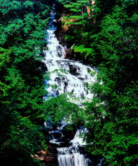 Wolf Creek Falls Poster Print showcasing the beauty of Vogel State Park in Georgia.