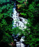 Wolf Creek Falls Poster Print showcasing the beauty of Vogel State Park in Georgia.