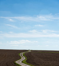 Poster print of a person walking through an agricultural field in Baden-Wurttemberg, Germany.