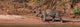 Jaguar walking in a forest at Cuiaba River, Pantanal, Brazil poster print
