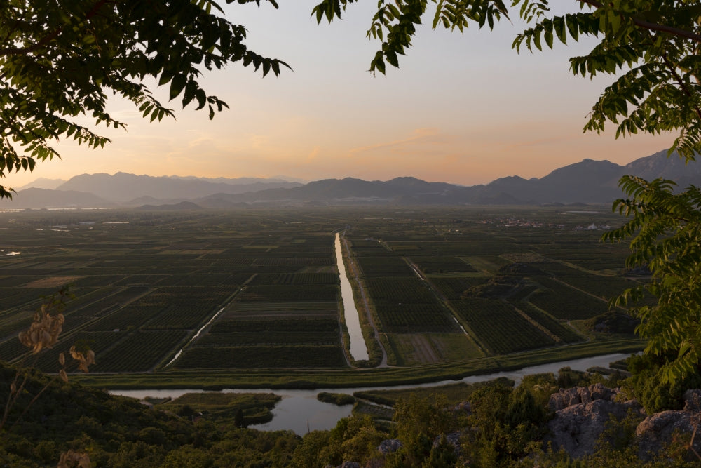 Near Staseviki Agricultural Landscape Poster Print by Panoramic Images