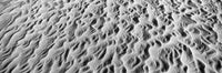 Detail of sand dunes at Anza Borrego Desert State Park, California Poster Print