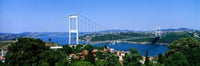 http://c328301.r1.cf1.rackcdn.com/PPI17798L.jpg