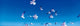 http://c328301.r1.cf1.rackcdn.com/PPI25034S.jpg