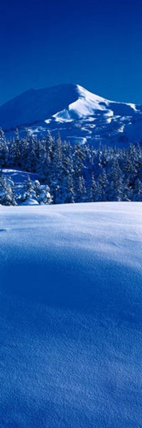 http://c328301.r1.cf1.rackcdn.com/PPI29487S.jpg