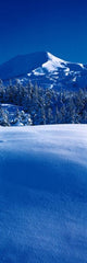 http://c328301.r1.cf1.rackcdn.com/PPI29487S.jpg