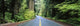 http://c328301.r1.cf1.rackcdn.com/PPI29498S.jpg