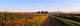 http://c328301.r1.cf1.rackcdn.com/PPI3009S.jpg