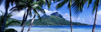 http://c328301.r1.cf1.rackcdn.com/PPI31194S.jpg