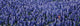 http://c328301.r1.cf1.rackcdn.com/PPI31845S.jpg