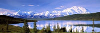 http://c328301.r1.cf1.rackcdn.com/PPI32387L.jpg