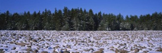 http://c328301.r1.cf1.rackcdn.com/PPI34437S.jpg