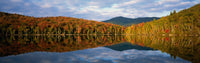 http://c328301.r1.cf1.rackcdn.com/PPI37336L.jpg
