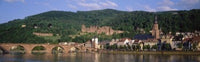http://c328301.r1.cf1.rackcdn.com/PPI37369S.jpg