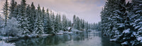 http://c328301.r1.cf1.rackcdn.com/PPI38744S.jpg