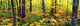 http://c328301.r1.cf1.rackcdn.com/PPI39253L.jpg